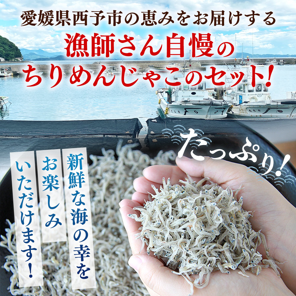 ＜漁師さん自慢のちりめんじゃこ 合計700g（70g×10パック）＞ しらす シラス おじゃこ 魚 さかな 小魚 魚介類 乾燥 海の幸 海鮮 小分け 個包装 おすそ分け 国産 産地直送 特産品 濵田水産 愛媛県 西予市 700g(70g×10パック)（寄附額10,000円）