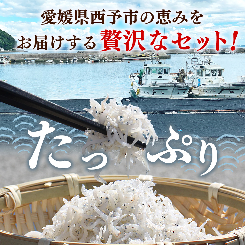 ＜ちりめん＆しらす干し 食べ比べセット 合計850g（ちりめん70g×5袋 しらす干し100g×5袋 ）＞ 西予市産 詰め合わせ チリメン シラス 魚介 海産物 海鮮 家庭用 贈答用 小分け 国産 特産品 産地直送 濵田水産 愛媛県 西予市