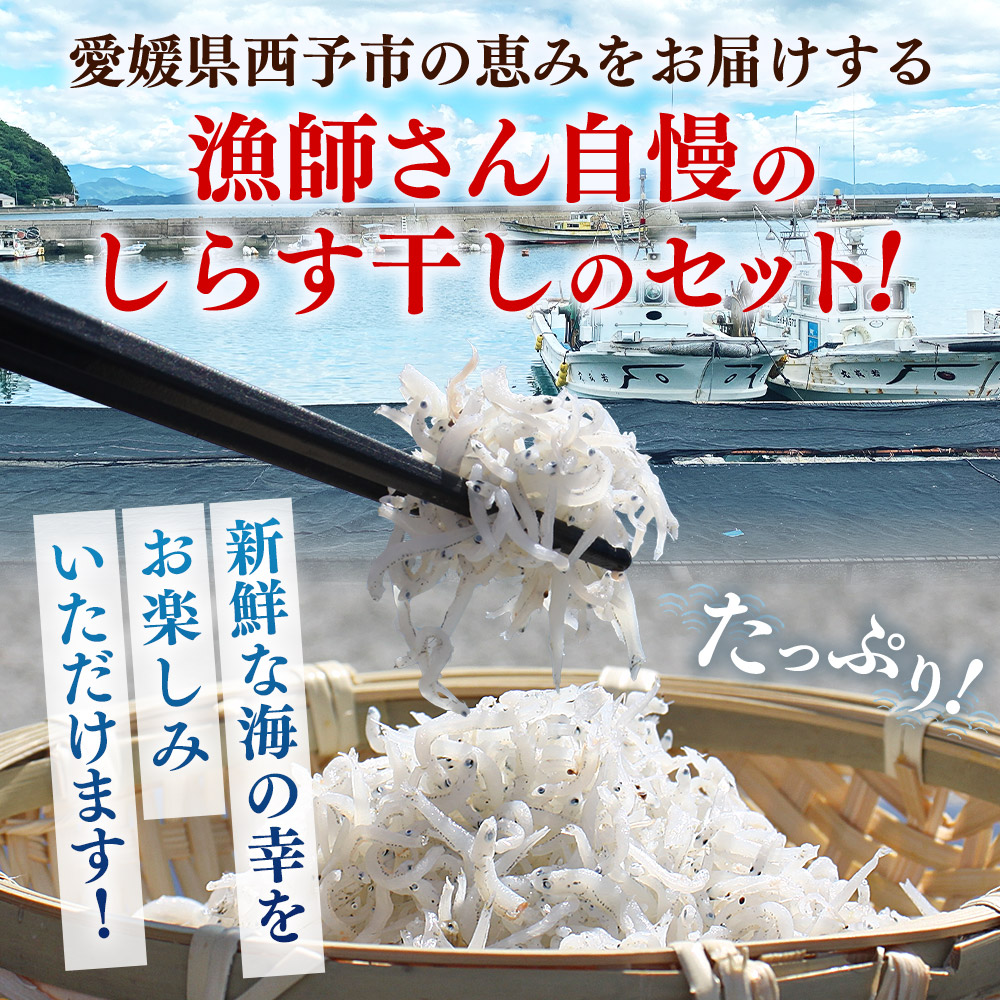 ＜漁師さん自慢のしらす干し 合計500g（100g×5パック）＞ シラス 魚介類 さかな 海産物 海鮮 海の幸 小分け 国産 ご飯のお供 丼 おつまみ 晩酌 おかず おやつ 特産品 産地直送 濵田水産 愛媛県 西予市 500g(100g×5パック)（寄附額6,000円）