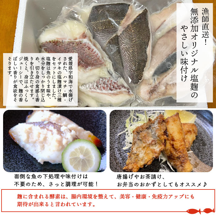 ＜漁師直送 保存料無添加 夏の塩麹 160g×3種セット＞ 魚 詰め合わせ 海鮮 海産物 海鮮セット ハマチ 鯛 イサキ 焼くだけ 簡単調理 処理済み 明浜産 二ノ宮商事株式会社 愛媛県 西予市