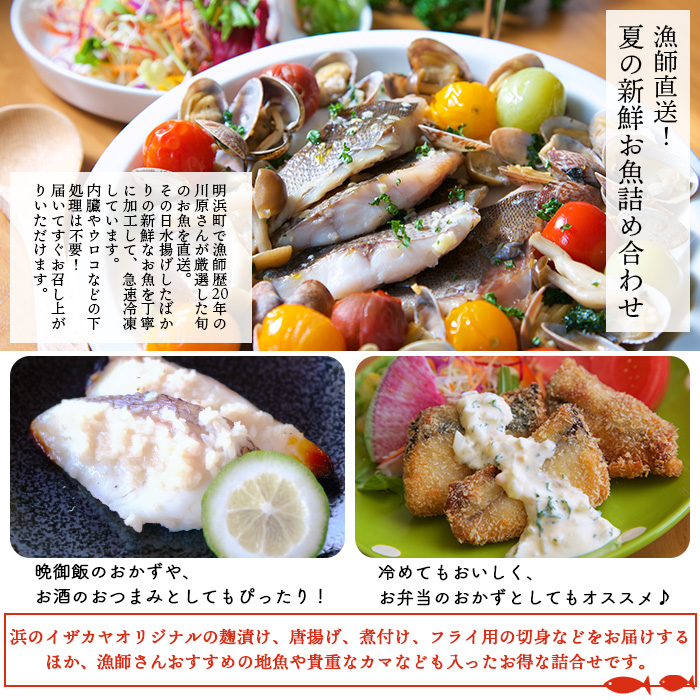 ＜漁師直送 夏の新鮮お魚詰め合わせ 8種以上＞ 魚 詰め合わせ 海鮮 海産物 海鮮セット イサキ 処理済み 麹漬け 明浜産 二ノ宮商事株式会社 愛媛県 西予市