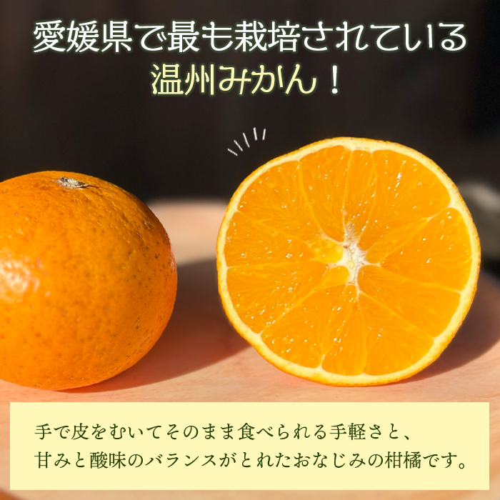 ＜旬をお届け！温州みかん 約5kg＞ 数量限定 ミカン 蜜柑 果物 柑橘類 果実 オレンジ フルーツ 早生 20号 手軽 特産品 国産 明浜産 二ノ宮商事株式会社 愛媛県 西予市