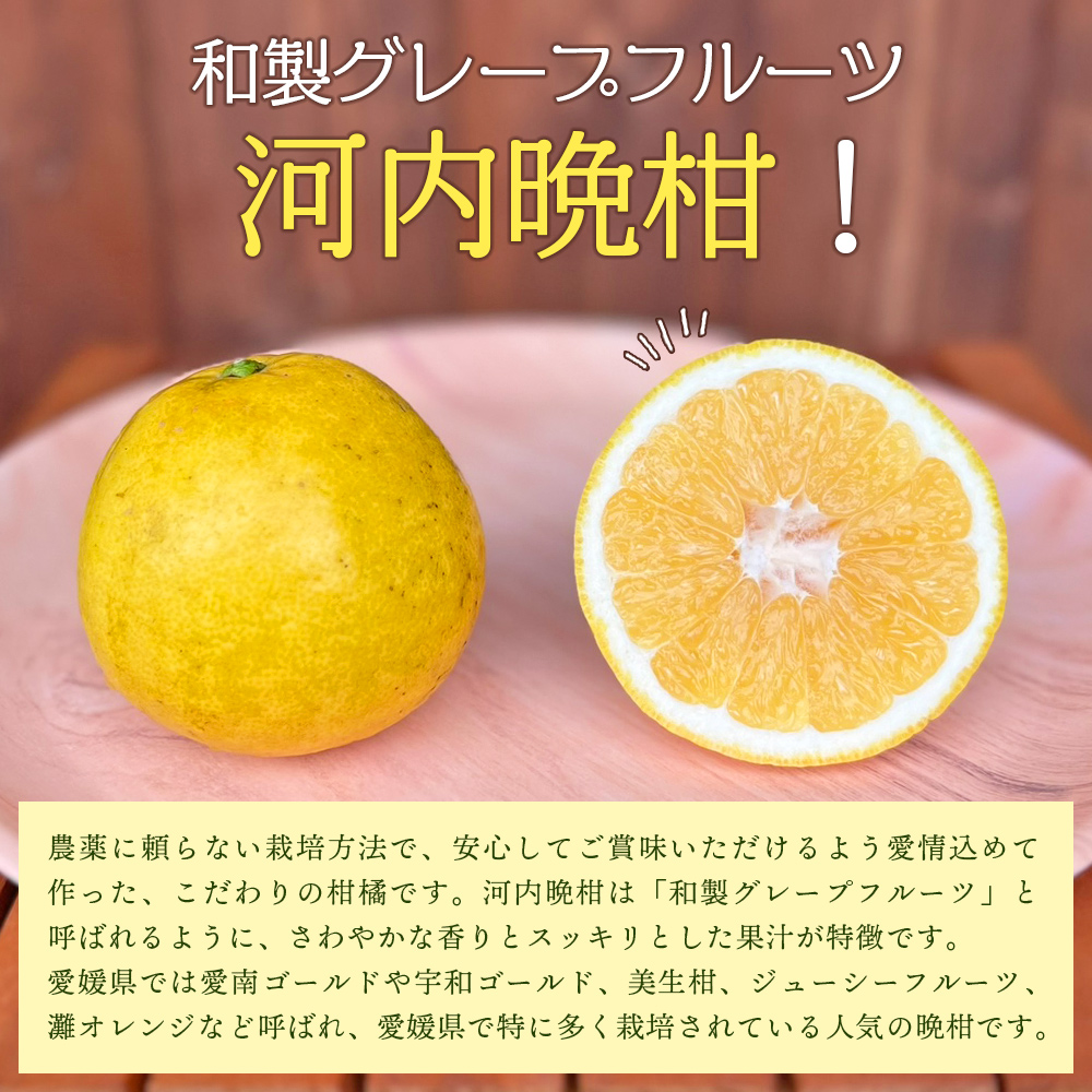 ＜【4月発送】旬をお届け！河内晩柑 約7kg＞ みかん ミカン 蜜柑 果物 柑橘類 果実 オレンジ フルーツ かわちばんかん カワチバンカン 15～20個前後 特産品 明浜産 二ノ宮商事 愛媛県 西予市