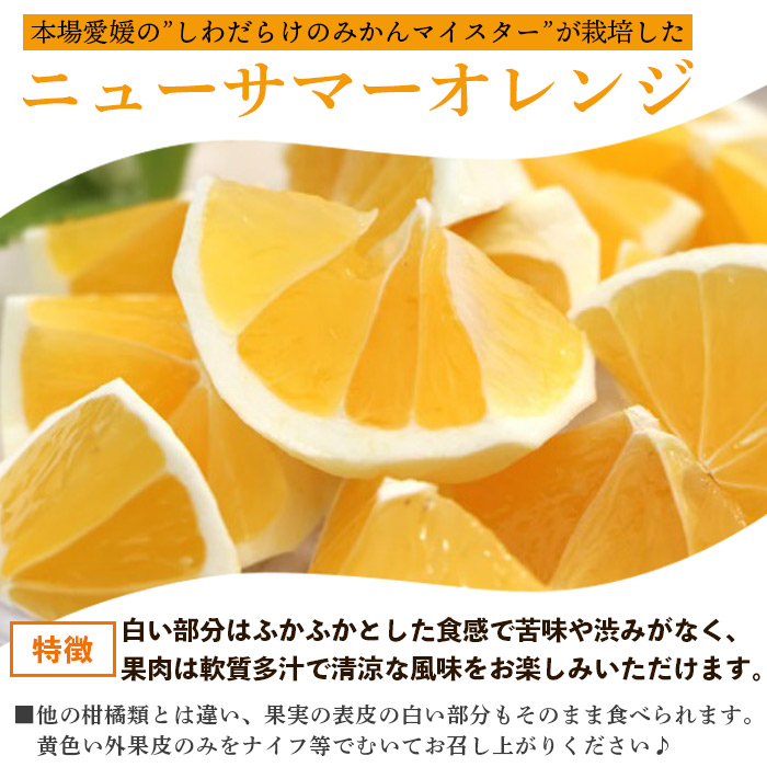 ＜愛媛県西予市産 ニューサマーオレンジ 約3kg＞ 果物 フルーツ ミカン 柑橘 日向夏 特産品 渡江から一歩を踏み出す会 愛媛県 西予市