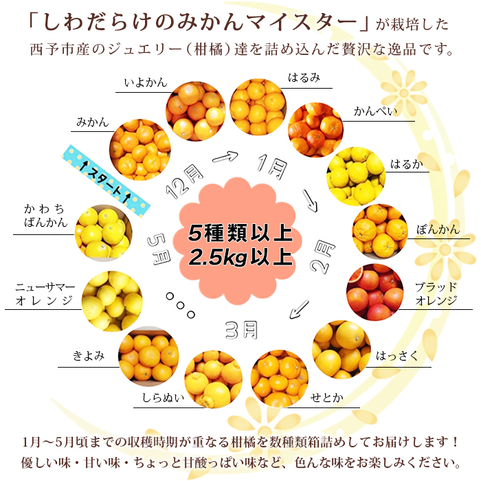 愛媛県明浜産　ジュエリーボックス（柑橘編）2.5kg【４月配送】