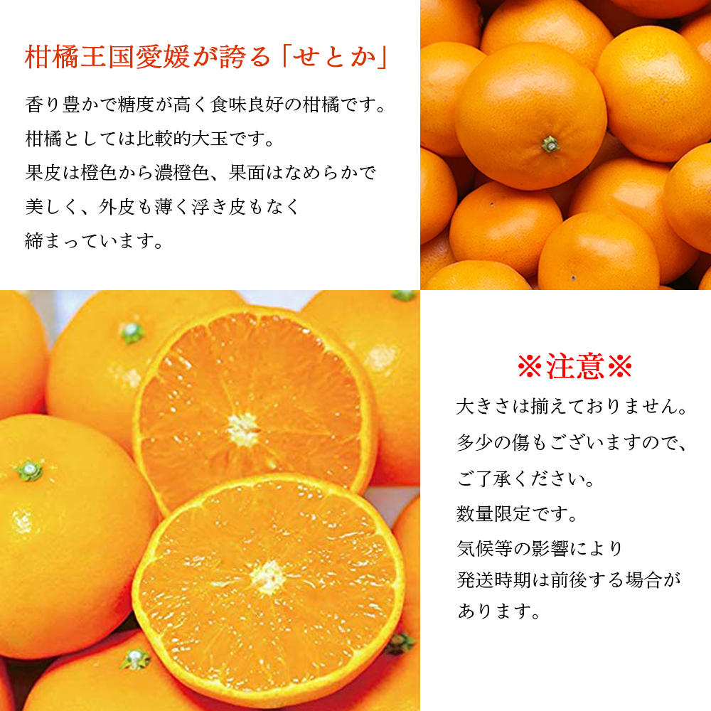 愛媛西予市産 せとか 約1kg