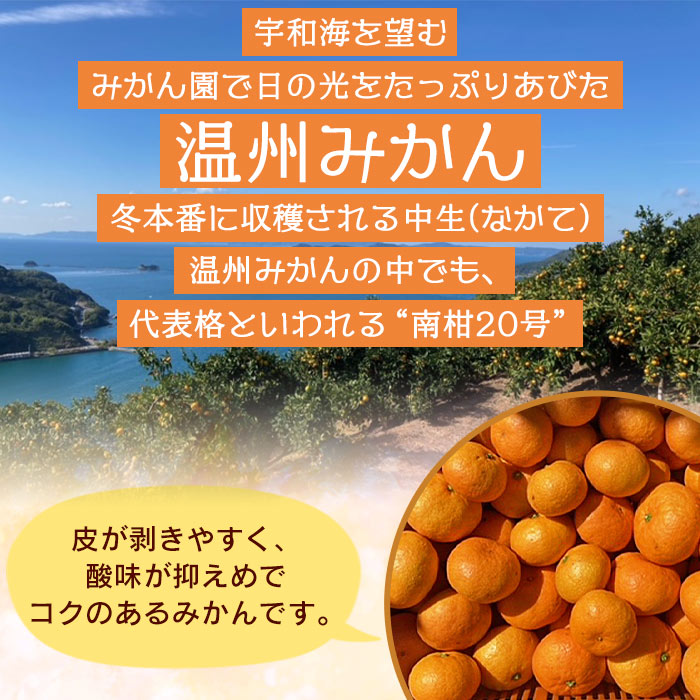 ＜でん助農園の温州みかん 南柑20号 約10kg（家庭用）＞ 果物 フルーツ ミカン オレンジ 柑橘 中生 自宅用 産地直送 西宇和産 愛媛県 西予市