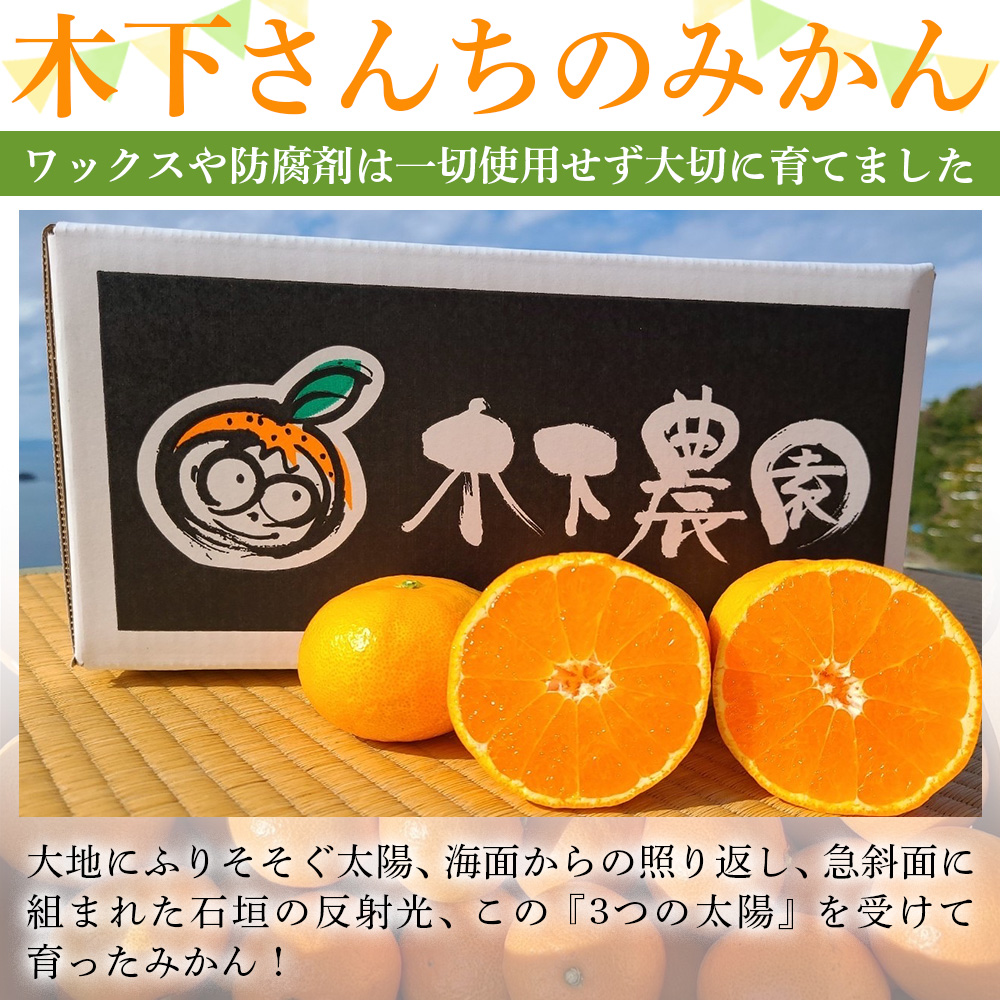 ＜木下さんちのみかん 良品 約5kg（S～Lサイズ混合）＞ 柑橘 温州みかん ミカン 果物 くだもの フルーツ 西宇和 愛媛県 西予市 約5kg（寄附額8,000円）