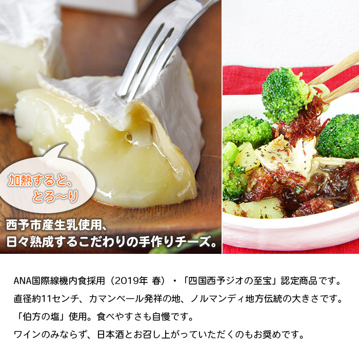 ＜カマンベールチーズ 「森のろまん」 250g×1個 ＞ 発酵食品 乳製品 加工品 生乳 伯方の塩 おつまみ ワイン おかず ピザ フォンデュ お料理 特産品 箱入り ギフト 国産 ほわいとファーム 愛媛県 西予市 250g×1個（寄附額9,000円）