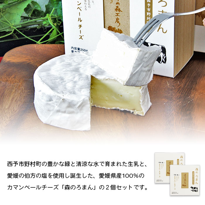 ＜カマンベールチーズ 「森のろまん」 250g×2個 ＞発酵食品 乳製品 加工品 生乳 伯方の塩 おつまみ ワイン おかず ピザ フォンデュ お料理 特産品 箱入り ギフト 国産 愛媛県 西予市 250g×2個（寄附額16,000円）