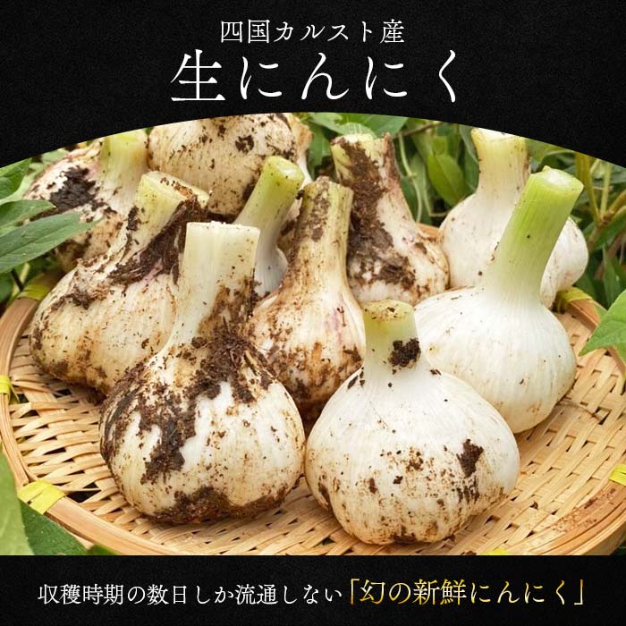 ＜四国カルスト産 生にんにく 約1kg＞ 期間限定 野菜 新鮮 産地直送 福地ホワイト六片種 土付き 掘りたて ニンニク ガーリック 調味料 料理 株式会社祐 愛媛県 西予市