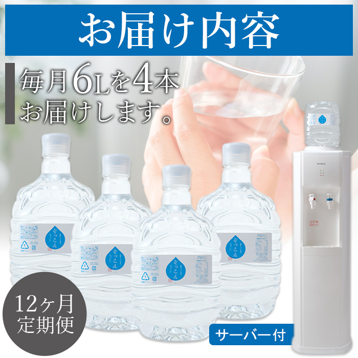 四国カルスト天然水ぞっこん 定期便（毎月6L×4本 1年間）レンタルサーバー付