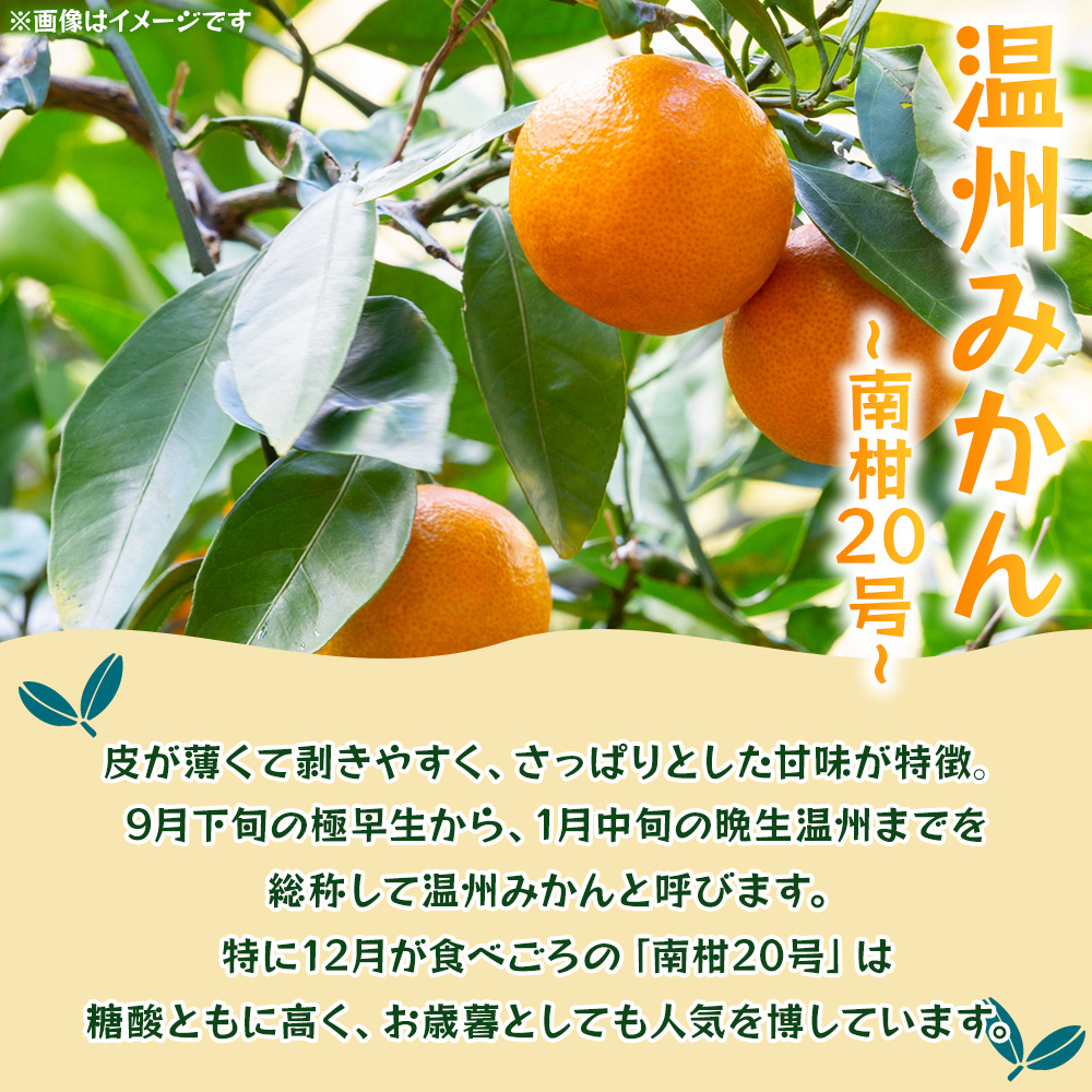 ＜温州みかん（南柑20号）約10kg＞ 果物 フルーツ みかん ミカン オレンジ 柑橘 特産品 JA えひめ南農業協同組合 愛媛県 西予市
