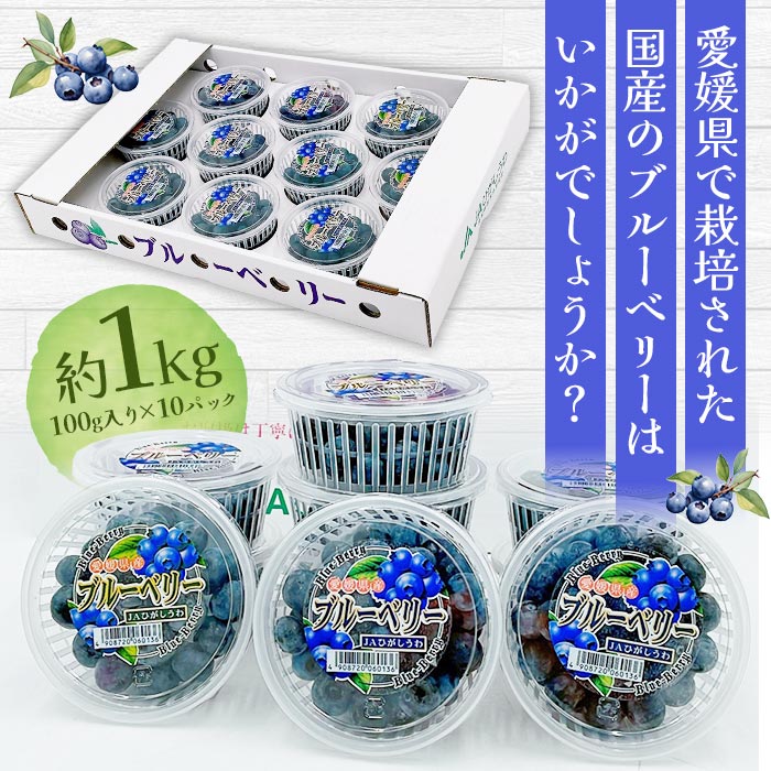 ＜愛媛県西予市産 ブルーベリー 約1kg（100g入り×10パック）＞ ぶるーべりー 果実 果物 生 くだもの フルーツ 国産 小分け ジャム スムージー 株式会社フジ・アグリフーズ 愛媛県 西予市【冷蔵】