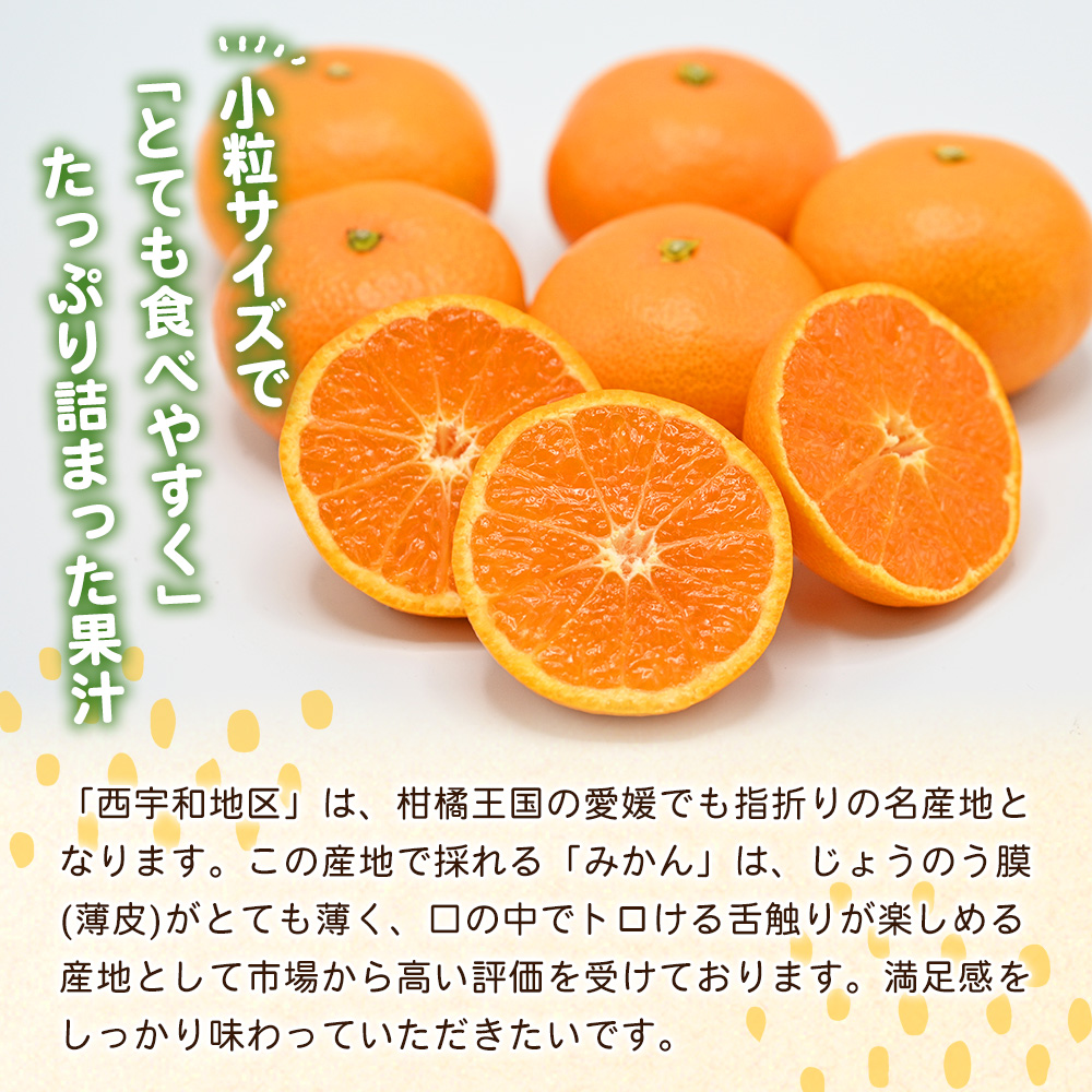 ＜愛媛県西予市産 温州みかん 小粒サイズ 家庭用 約3.2kg＞ 愛媛県産 西宇和 小玉 小さめ 果物 フルーツ 柑橘 うんしゅうみかん ウンシュウミカン オレンジ ミカン 蜜柑 訳あり 小林果園 愛媛県 西予市