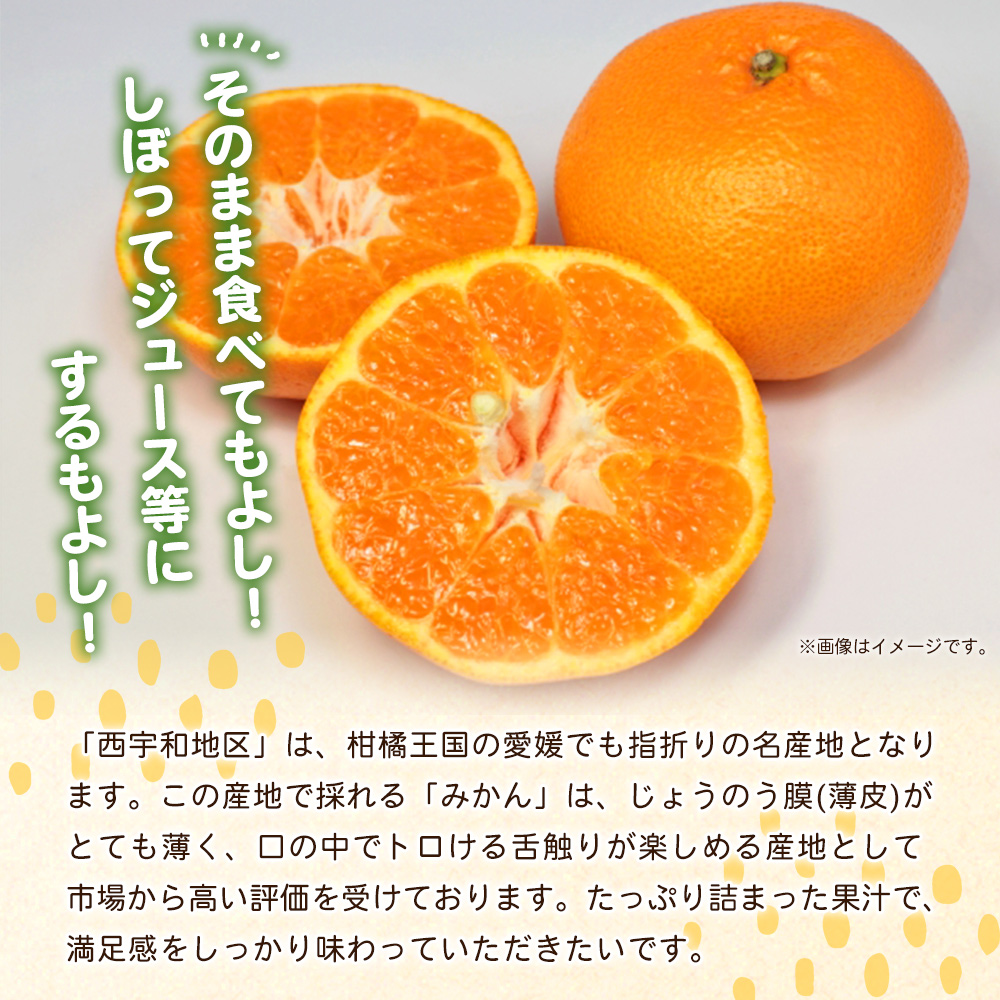 ＜愛媛県西予市産 温州みかん 大玉サイズ 家庭用 約9kg＞ 愛媛県産 西宇和 大玉 大きめ 家庭用 果物 フルーツ 柑橘 うんしゅうみかん オレンジ ミカン 蜜柑 訳あり 小林果園 愛媛県 西予市