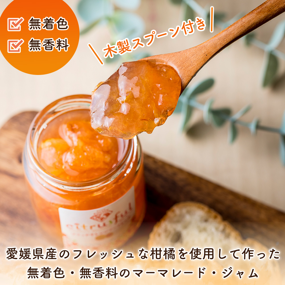 ＜マーマレード・ジャム 3種セット＞ 国産 愛媛県産 西宇和 マーマレード ジャム セット 3個 産地直送 季節のジャム みかん ミカン 果物 フルーツ 柑橘 オレンジ 蜜柑 手作り 果実 手作りジャム 小林果園 愛媛県 西予市