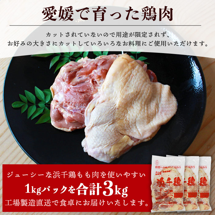 ＜銘柄鶏 浜千鶏 愛媛県産 若鶏もも肉 3kg（1kg×3）＞ 国産 鶏肉 鳥肉 とり チキン モモ肉 ブロック 精肉 にく 料理 アレンジ 夕飯 夕食 お弁当 昼食 唐揚げ から揚げ 焼き鳥 愛媛県 西予市