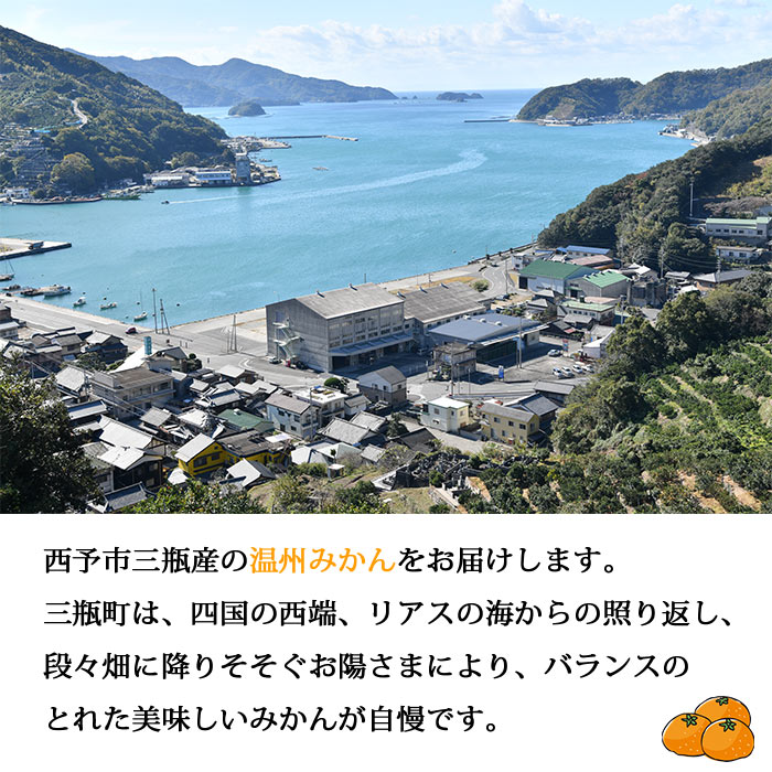 ＜JAにしうわ 温州みかん（みなの）約5kg＞ 果物 くだもの うんしゅう ミカン 蜜柑 柑橘類 フルーツ 特産品 西宇和農業協同組合 愛媛県 西予市