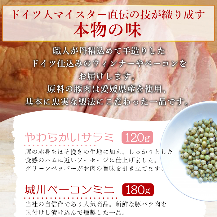 ＜城川自然牧場 いろいろな味セット 5種＞ サラミ ベーコン 粗挽きウインナー ペッパーウインナー 豚肉 牛肉 国産 加工品 詰め合わせ 贈答用 城川ファクトリー 愛媛県 西予市
