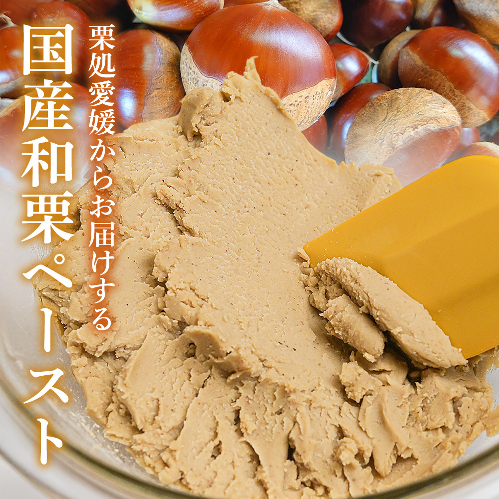 ＜和栗ペースト 1mmタイプ（加糖）約1kg＞ 栗 くり 城川和栗 モンブラン 栗きんとん かき氷 トッピング 国産 スイーツ おやつ お菓子 手作り 栗スイーツ お菓子作り 城川ファクトリー 愛媛県 西予市