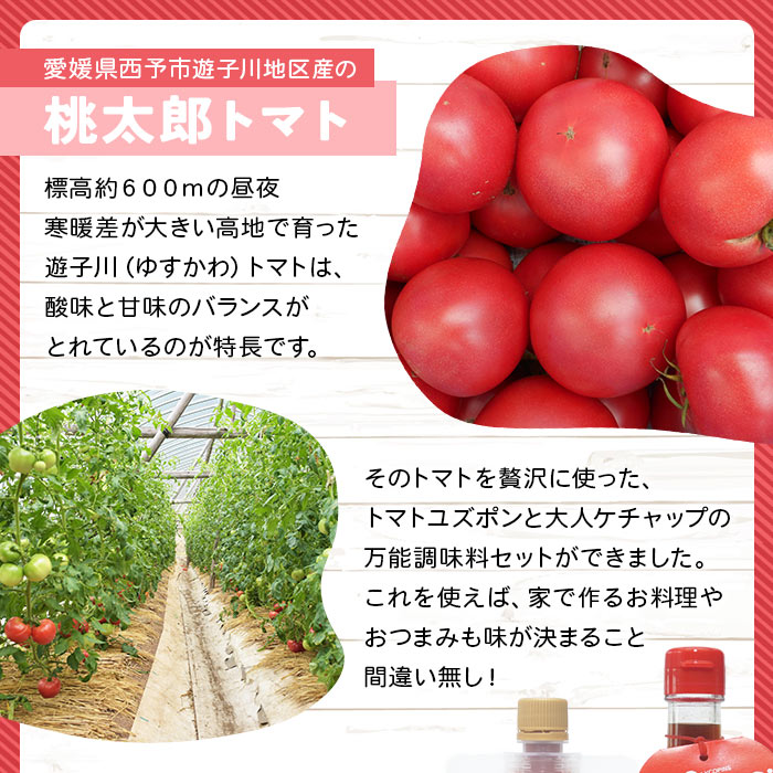 ＜お料理の決め手！何にでも合う トマト調味料セット（トマトユズポン・大人ケチャップ 各1個）＞ とまと 野菜 ゆず ポン酢 完熟 調味料 詰め合わせ ギフト 国産 特産品 遊子川ザ・リコピンズ 愛媛県 西予市