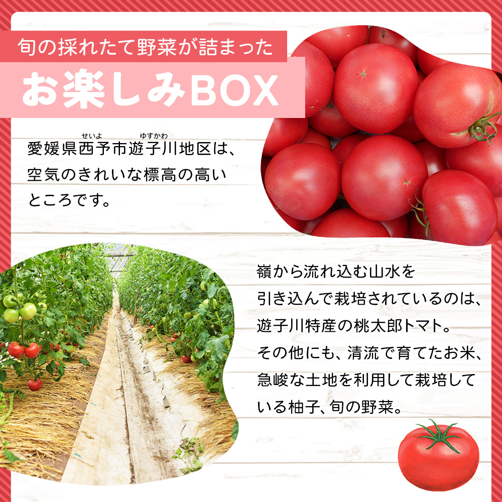 ＜旬の採れたて野菜が詰まったお楽しみBOX（3か月ごと年4回の定期便）＞ 西予市遊子川産 農家さんの顔が見える野菜 定期便 野菜 食べて応援 特産品 遊子川ザ・リコピンズ 愛媛県 西予市