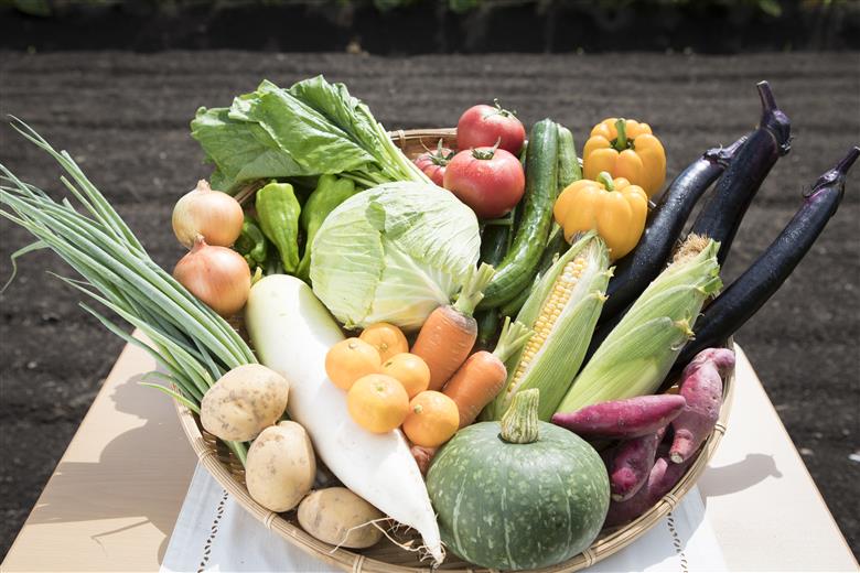 せいよ旬の野菜・果物詰合わせセット　月1回3か月（計3回配送）