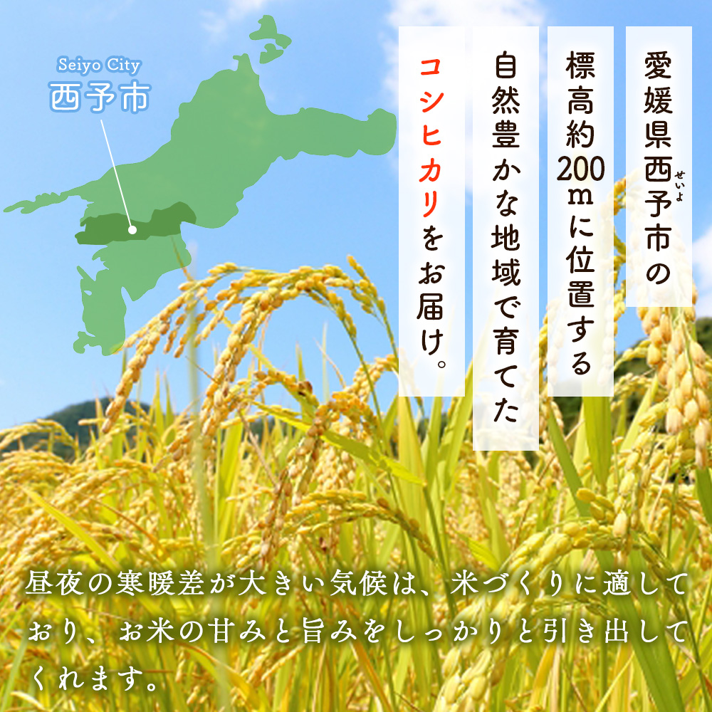 ＜コシヒカリ 約10kg＞ 10キロ こしひかり 米 お米 コメ こめ 白米 精米 ご飯 ライス もっちり 穀物 お弁当 おにぎり 特産品 愛媛県産 西予市産 宇和町産 ファームNINOMIYA 愛媛県 西予市