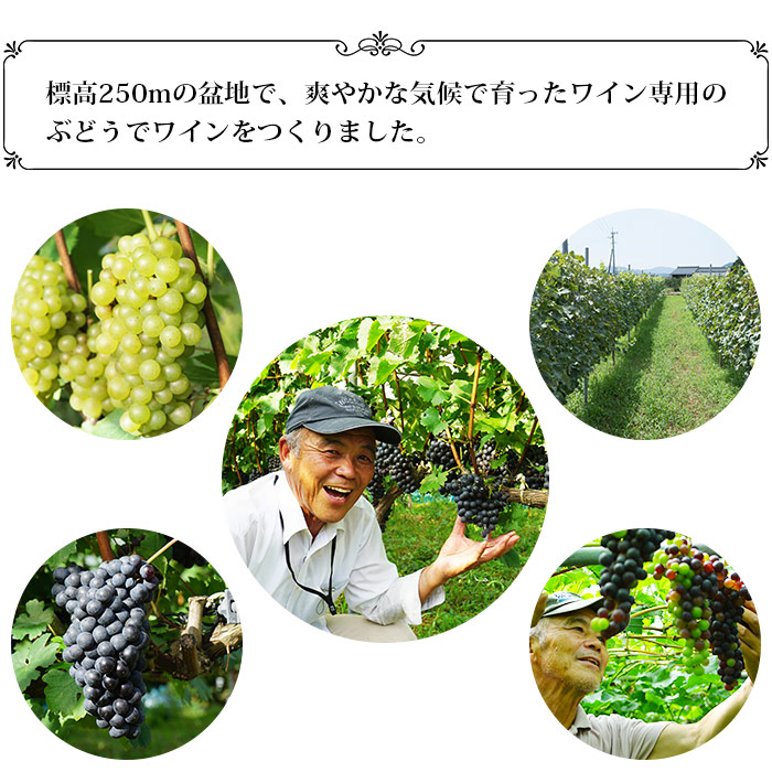 光ワイン（「赤」「白」各1本セット） 「赤」「白」各1本セット（寄附額26,000円）