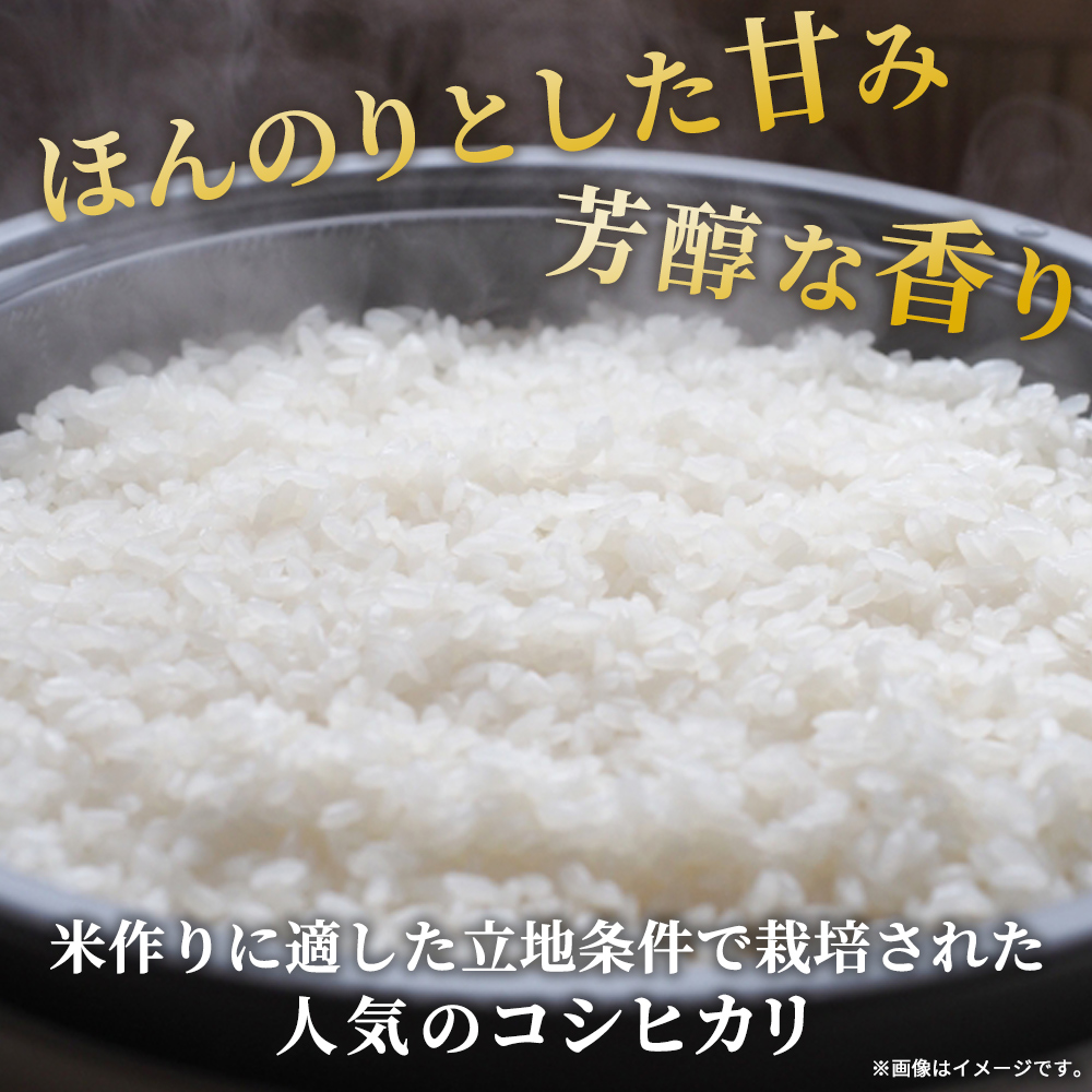 【KAZUファーム】 コシヒカリ 5㎏