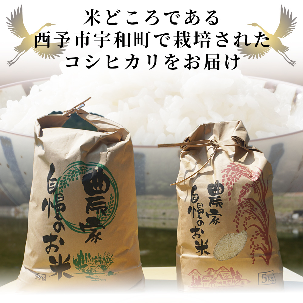 ＜令和7年産 コシヒカリ「つるの寝どこまい」約5kg 西予市宇和町産＞ 2025年産 こしひかり お米 コメ こめ 白米 精米 ご飯 ごはん 穀物 ライス SDGs 共生 楠 健明 愛媛県 西予市
