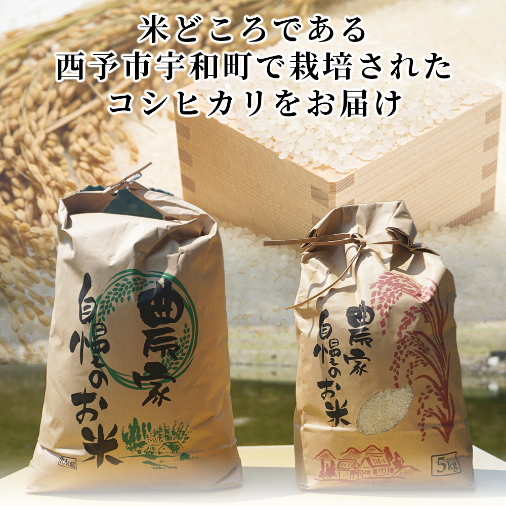 ＜【6回定期便】令和7年産 コシヒカリ 約5kg 西予市宇和町産＞ 白米 精米 楠さんの一等米相当 選べる こしひかり お米 コメ こめ ご飯 ごはん 早く届く スピード発送 愛媛県 西予市