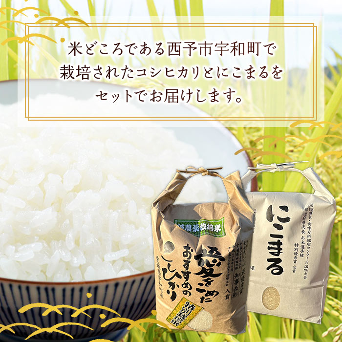 ＜令和6年産 西予市宇和町産 特別栽培米コシヒカリ・にこまる 食べ比べセット 合計4kg（各2kg）＞ お米 コメ 白米 精米 ご飯 ライス 穀物 こしひかり 晩稲 大粒 特産品 三好フク 愛媛県 西予市