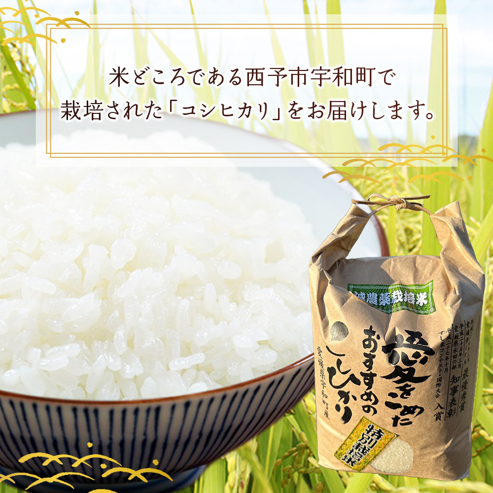 ＜令和7年産 西予市宇和町産 特別栽培米コシヒカリ 5kg＞ お米 コメ こめ 白米 精米 ご飯 白飯 ごはん ライス 穀物 こしひかり コシヒカリ 朝食 低農薬 特産品 愛媛県産 西予市産 宇和町産 三好フク 愛媛県 西予市