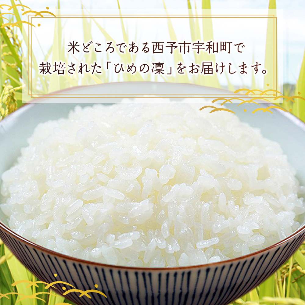 ＜愛媛県推進米 ひめの凜 約10kg＞ お米 コメ こめ 白米 精米 ご飯 ライス 穀物 ひめのりん ヒメノリン ブランド米 大粒 ツヤツヤ 特産品 愛媛県産 西予市産 宇和町産 三好フク 愛媛県 西予市