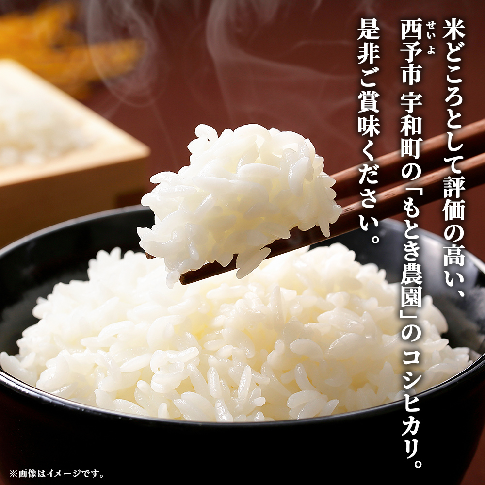 ＜令和7年産 愛媛県西予市産 コシヒカリ 10kg＞ お米 コメ こめ 白米 精米 ご飯 新鮮 10キロ 国産 愛媛県産 宇和町産 こしひかり 特産品 もとき農園 愛媛県 西予市