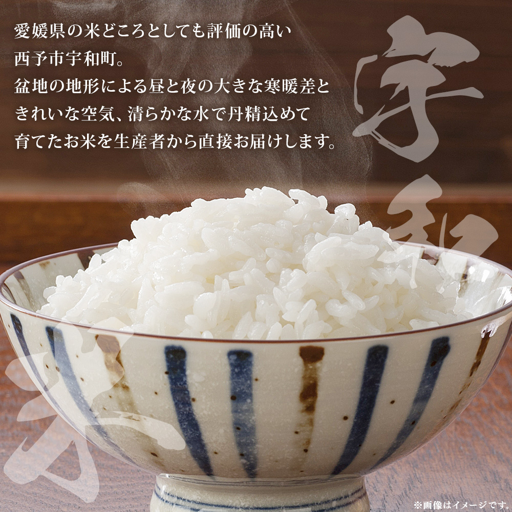 ＜令和7年産 松本農園直送 宇和米（コシヒカリ）約10kg＞ こしひかり 米 コメ こめ 白米 精米 うわまい ご飯 新鮮 10キロ 選べる お弁当 朝 昼 夜 国産 特産品 愛媛県 西予市 約10kg（寄附額38,000円）