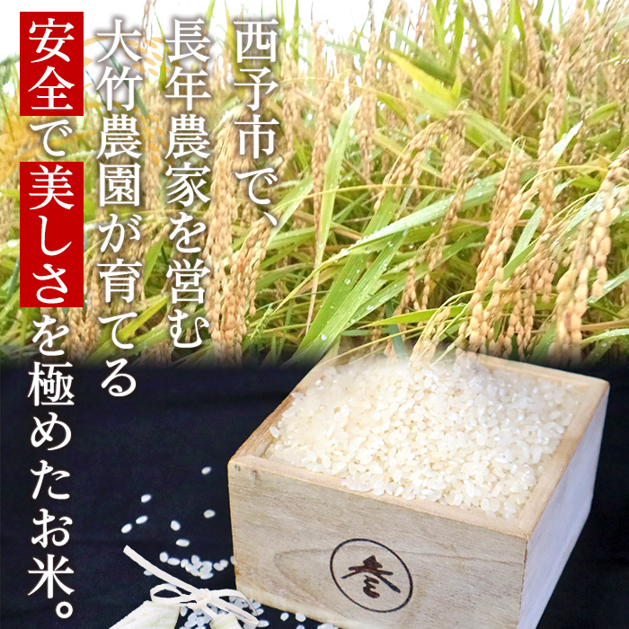 ＜令和6年産 大竹農園 コシヒカリ 約5kg＞ こしひかり コメ 白米 精米 ご飯 新鮮 旨味 大粒 ふっくら もちもち モチモチ お弁当 朝ごはん お昼ごはん 夜ごはん 特産品 愛媛県 西予市