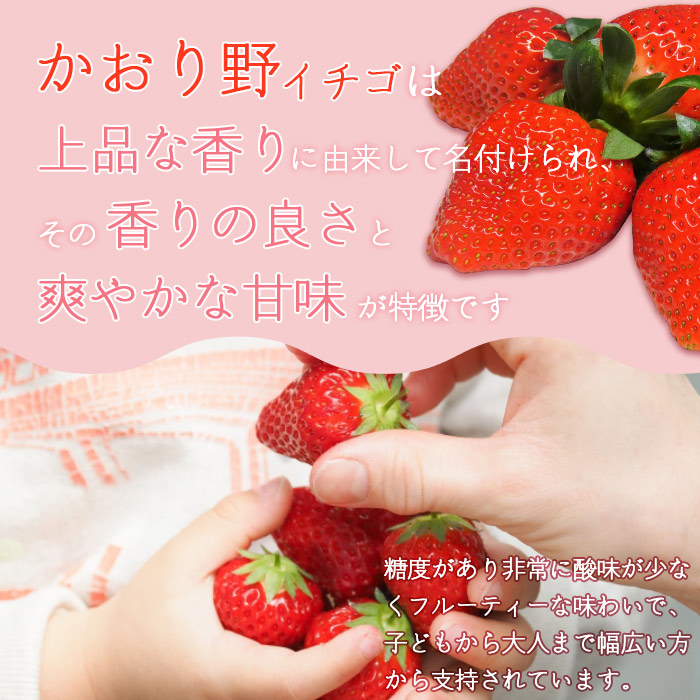 ＜イチゴ「かおり野」贈答用 4パック 大竹農園直送＞ いちご 苺 ギフト 果物 フルーツ お取り寄せ 甘い 糖度 朝摘み 朝採れ プレゼント 贈り物 お礼 お祝い 特産品 愛媛県 西予市