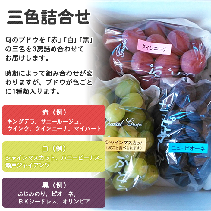 ＜旬のブドウ 三色詰合せ 約1.5kg＞ 果物 フルーツ ぶどう ブドウ 葡萄 3種類 セット 詰め合わせ つめあわせ 食べ比べ お楽しみ 期間限定 季節限定 特産品 りの果樹園 愛媛県 西予市