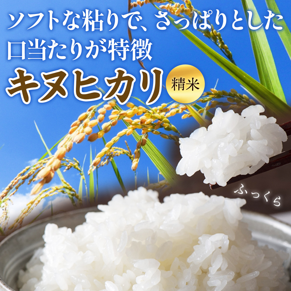＜令和7年度 米 キヌヒカリ 精米 5kg＞ 2025年産 単一原料米 単一米 5キロ きぬひかり お米 コメ こめ 白米 ご飯 ライス りの果樹園 愛媛県 西予市