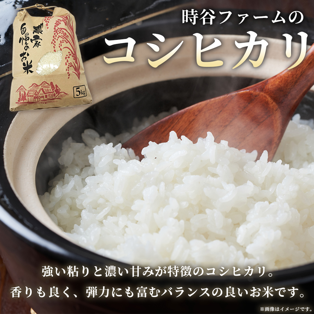 ＜令和7年産 西予市宇和町産 コシヒカリ 約10kg＞ お米 コメ こめ 白米 精米 ご飯 穀物 こしひかり 西予米NO.1コンテスト 最優秀賞 受賞 特産品 愛媛県産 西予市産 宇和町産 時谷ファーム 愛媛県 西予市