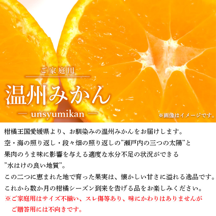 ＜愛媛県西予市産 温州みかん ご家庭用 約７kg＞ 訳あり わけあり 果物 フルーツ ミカン オレンジ 柑橘 愛媛県 西予市
