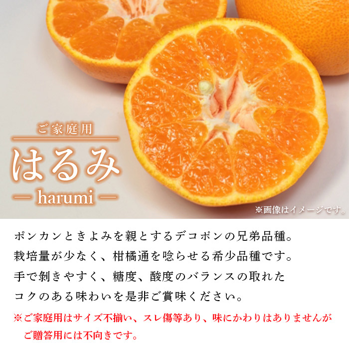 ＜愛媛県西予市産 はるみ ご家庭用 約４kg＞ 訳あり 果物 くだもの フルーツ みかん ミカン オレンジ 柑橘 愛媛県 西予市