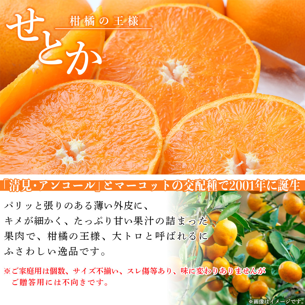 ＜愛媛県西予市産 せとか ご家庭用 約２kg＞ 訳あり 不揃い 傷 果物 フルーツ みかん ミカン セトカ オレンジ 柑橘 愛媛県 西予市