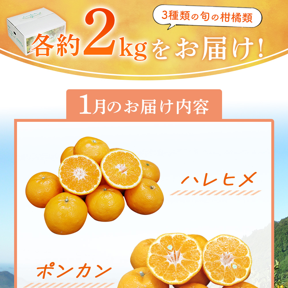 ＜ 1月発送！旬の柑橘 詰め合わせセット 3種×各2kg（ハレヒメ・ポンカン・伊予柑）＞ 果物 フルーツ みかん ミカン 蜜柑 柑橘 オレンジ 特産品 宇都宮物産 愛媛県 西予市