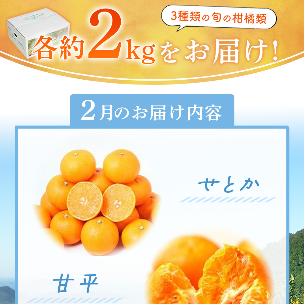 ＜ 2月発送！旬の柑橘 詰め合わせセット 3種×各2kg（せとか・甘平・はるみ）＞ 果物 フルーツ みかん ミカン 蜜柑 柑橘 オレンジ 特産品 宇都宮物産 愛媛県 西予市