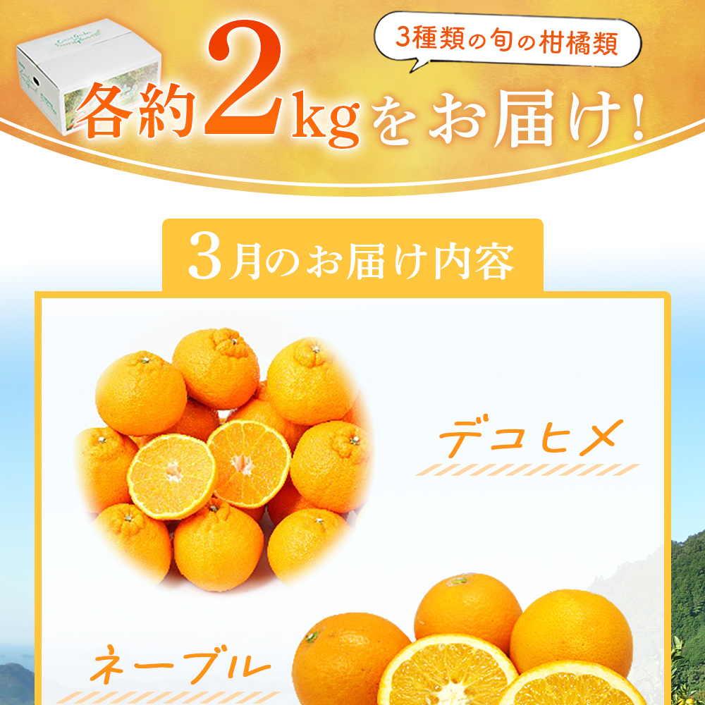 ＜ 3月発送！旬の柑橘 詰め合わせセット 3種×各2kg（デコヒメ・ネーブル・はるか）＞ 果物 フルーツ みかん ミカン 蜜柑 柑橘 オレンジ 特産品 宇都宮物産 愛媛県 西予市