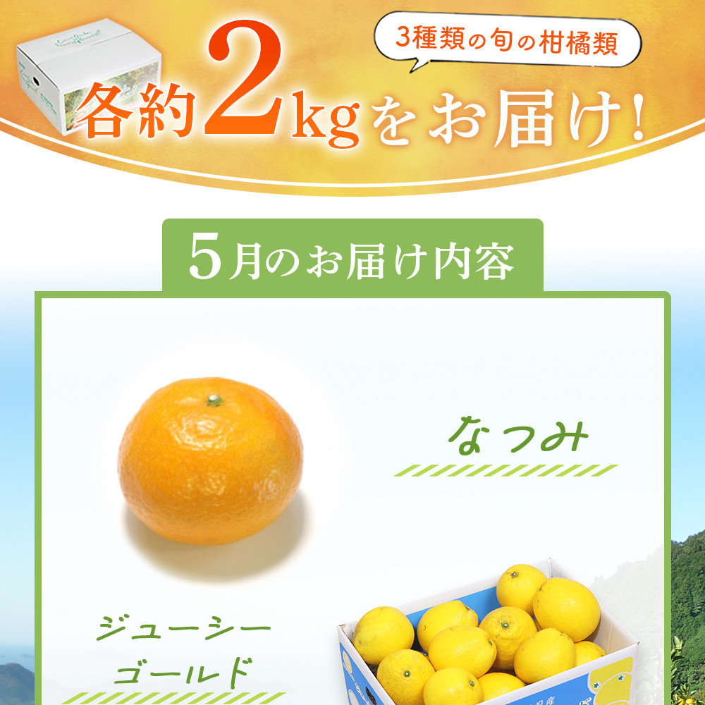 ＜ 5月発送！旬の柑橘 詰め合わせセット 3種×各2kg（なつみ・ジューシーゴールド・甘夏）＞ 果物 フルーツ みかん ミカン 蜜柑 柑橘 オレンジ 特産品 宇都宮物産 愛媛県 西予市